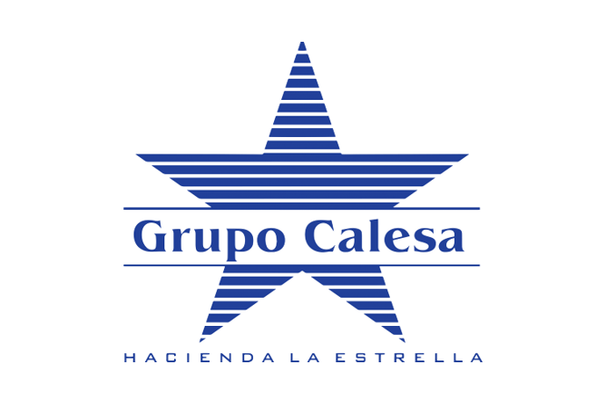 grupo-calesa-logo-10