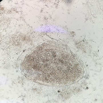 prueba de tratamiento de agua residual en Ambitek