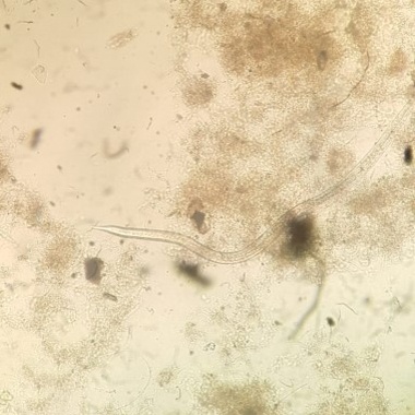 prueba de tratamiento de agua residual en Ambitek